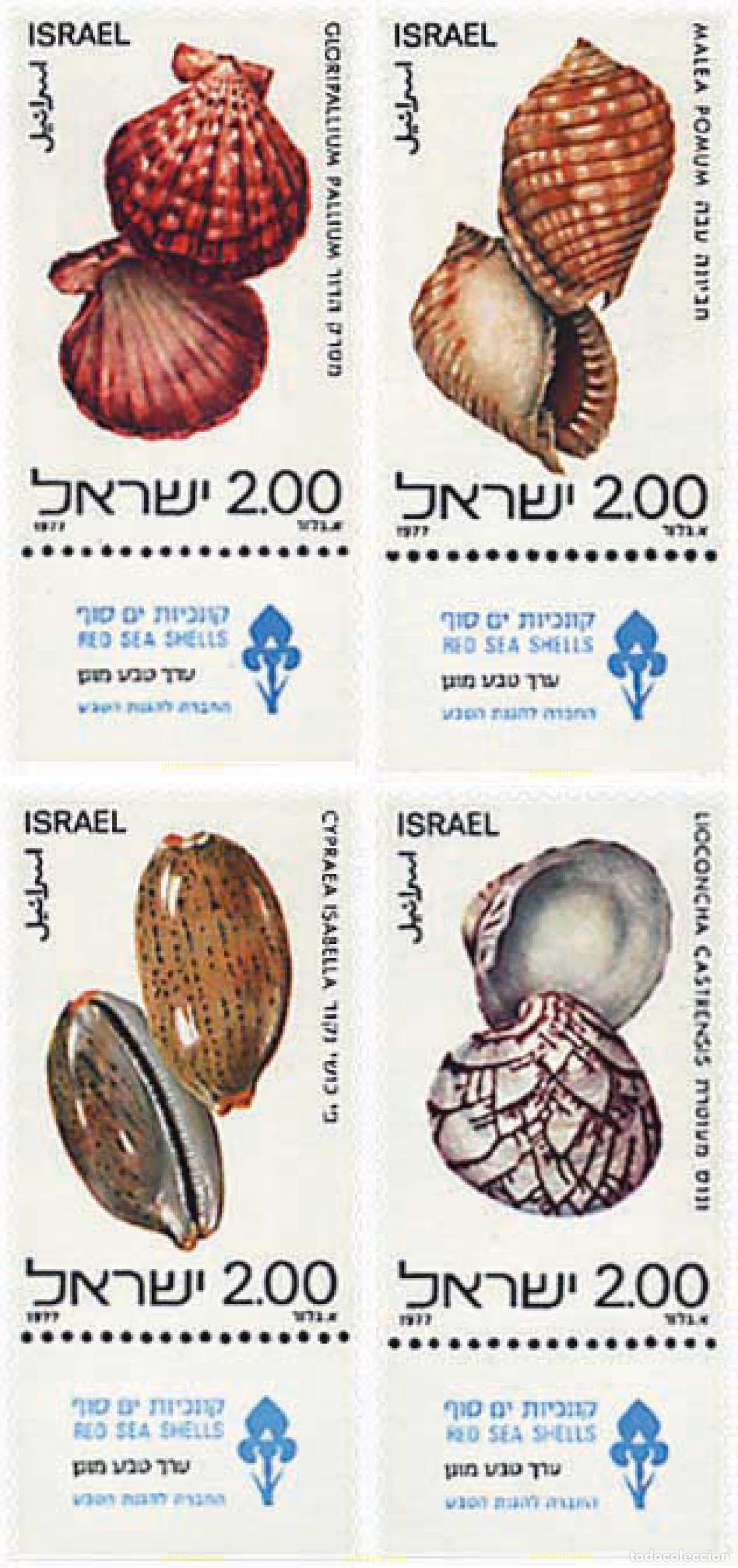 Sellos: 327927 MNH ISRAEL 1977 CONCHAS DEL MAR ROJO