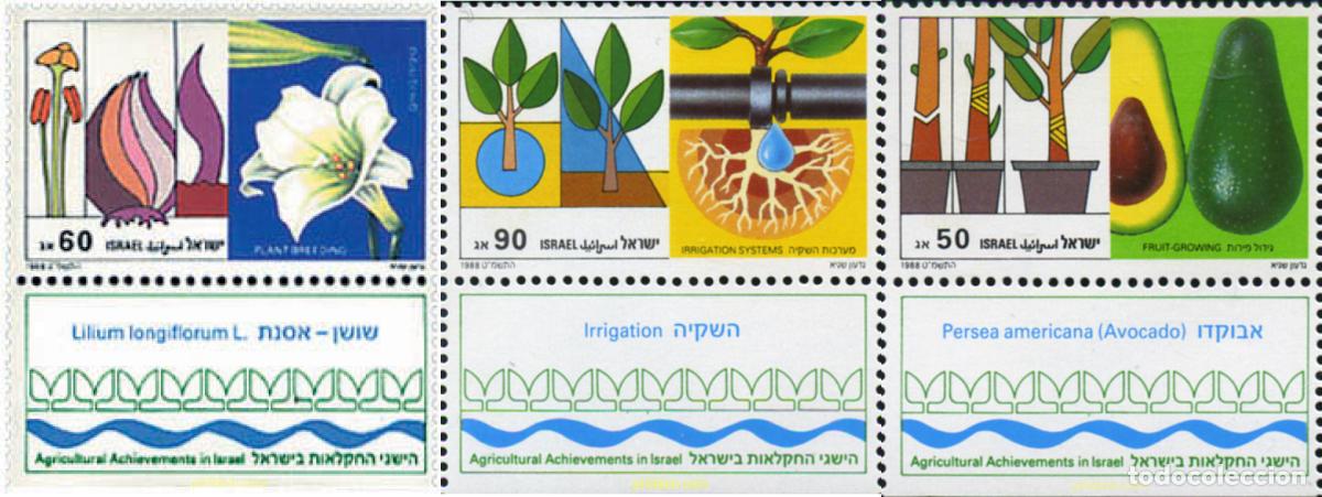 Selos: 3645 MNH ISRAEL 1988 REALIZACIONES DE LA AGRICULTURA ISRAELI