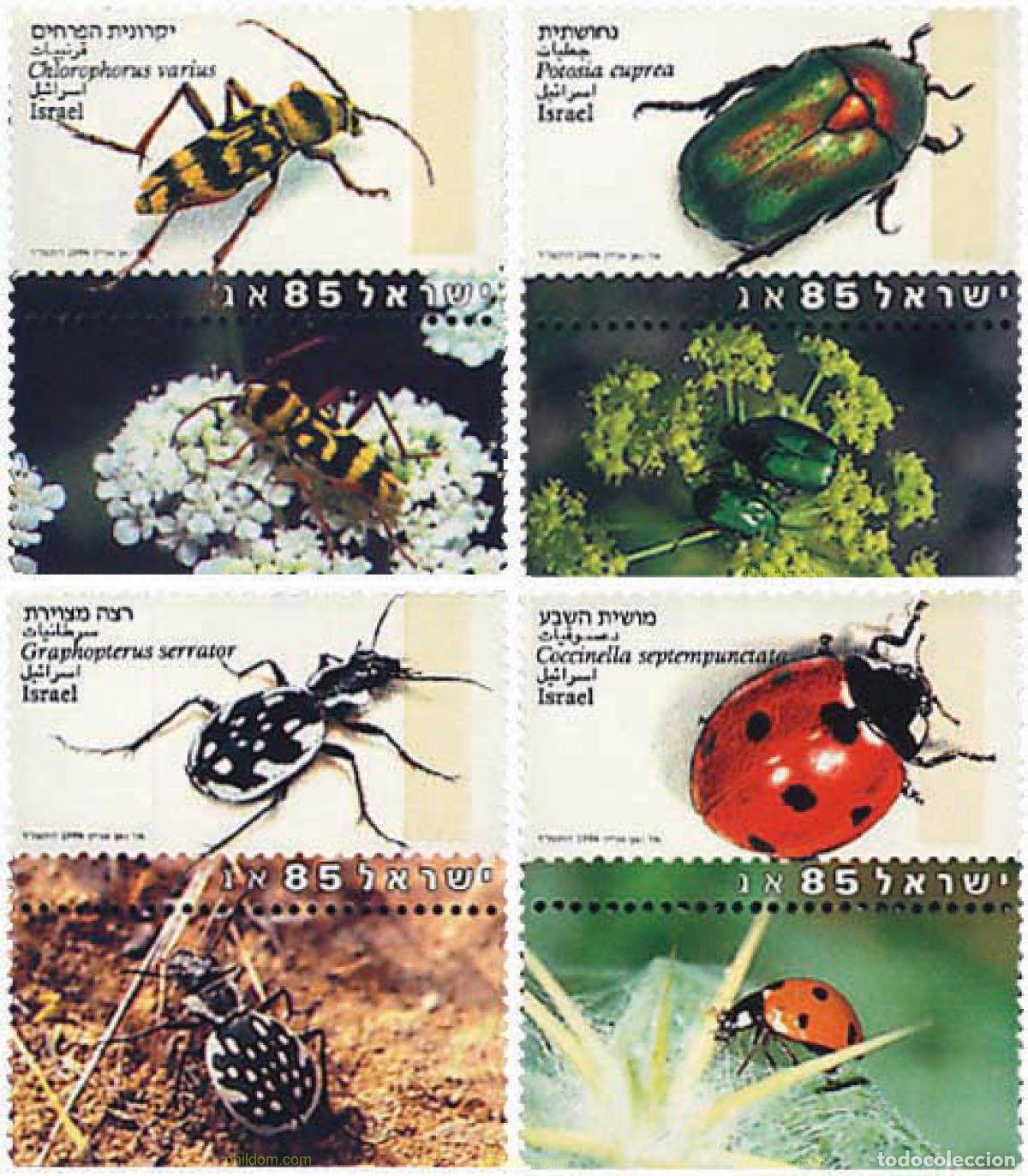 Sellos: 328526 MNH ISRAEL 1994 INSECTOS