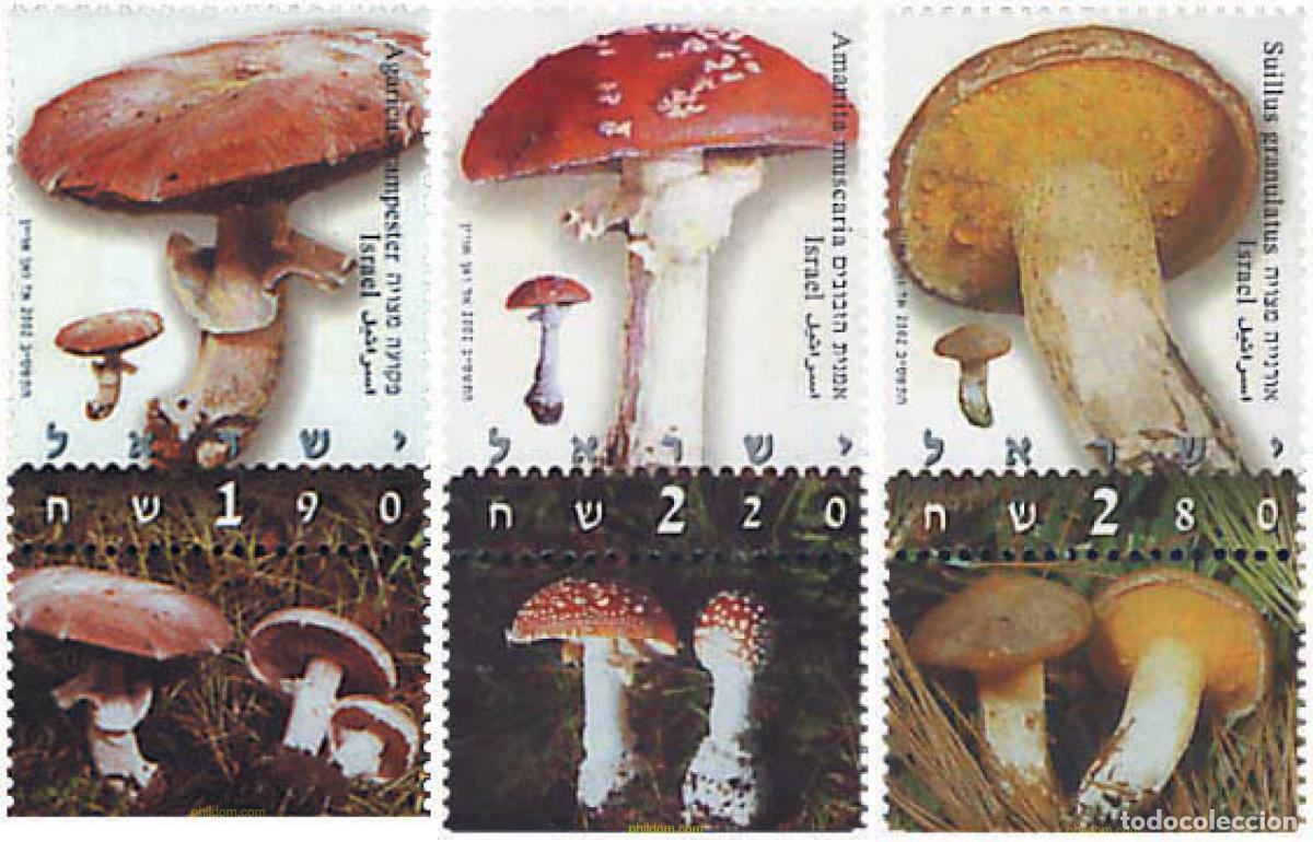 Sellos: 328689 MNH ISRAEL 2002 SETAS