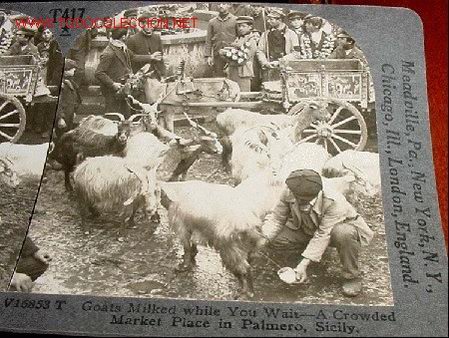 Selos: Fotograf&iacute;a estereosc&oacute;pica de VENTA DE LECHE DE CABRA EN UN MERCADO en Palermo (Sicilia) ITALIA, edit