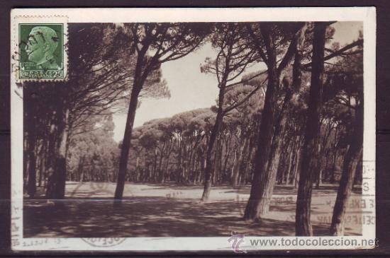 Timbres: ANTIGUA POSTAL ITALIA.PINAR DE VIAREGGIO.CIRCULADA A BARCELONA. VER FOTO ADICIONAL.