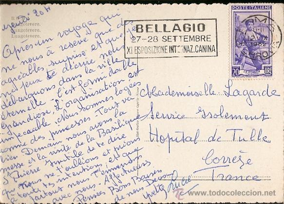Timbres: Italia & Bilhete Postal, Lungotevere, Bellagio XI Esposizione Internacional Canina, Roma, Tulle 1952