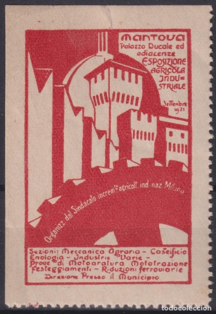 Selos: &rdquo;F-EX16616 ITALY ITALIA CINDERELLA 1929 MANTUA INDUSTRY AND AGRICULTURE EXHIBITION. NO GUM.&rdquo;