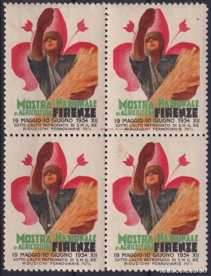 Sellos: &rdquo;F-EX16661 ITALY ITALIA CINDERELLA 1934 FIRENZE FLORENCE AGRICULTURE FAIR ORIGINAL GUM&rdquo;