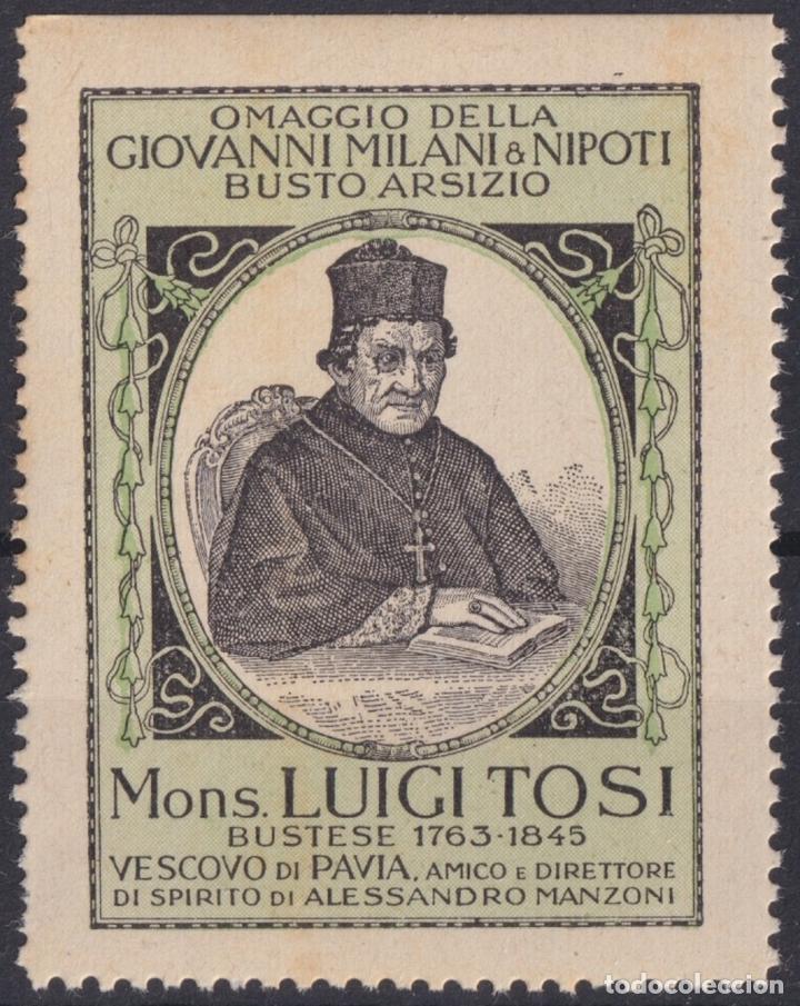 Sellos: &rdquo;F-EX17452 ITALY ITALIA CINDERELLA 1930 BUSTO ARSIZIO LUIGI TOSI 41x53 mm ORIGINAL GUM&rdquo;