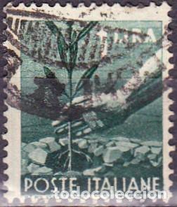 Sellos: 1945 - ITALIA - YVERT 488 - Foto 1