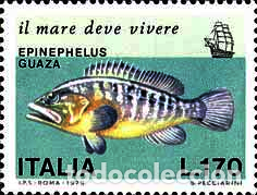 Selos: Francobollo Usato Rep. Italiana 1978 SALVAGUARDIA DEL MARE 170 Lire Cernia - Rep. Italiana