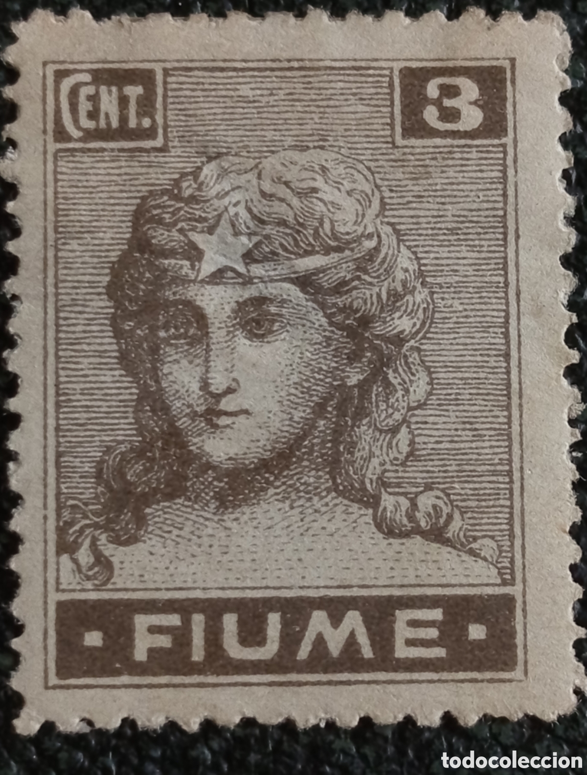 Sellos: Fiume 1919 Alegor&iacute;a de Italia Cabeza de Mujer 3 C&eacute;ntimos Pardo MH - Sassone #28