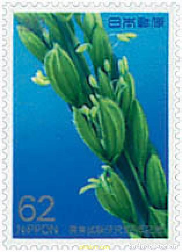 Sellos: 90138 MNH JAPON 1993 CENTENARIO DE LA INVESTIGACION AGRICOLA
