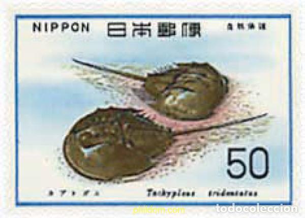 Sellos: 90529 MNH JAPON 1977 FAUNA MARINA