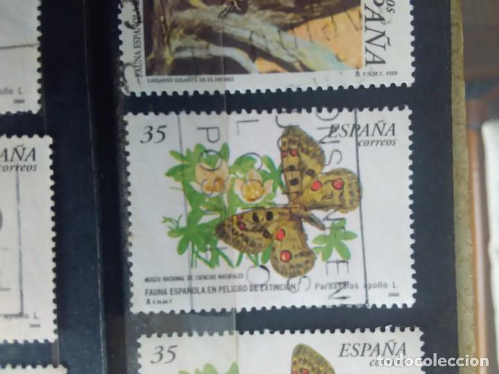 Stamps: EDIFIL 3694 MARIPOSAS, DE LA SERIE:FAUNA ESPA&Ntilde;OLA EN PELIGRO DE EXTINCI&Oacute;N. A&Ntilde;O 2000