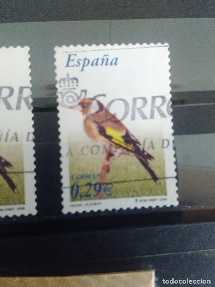 Selos: EDIFIL 4214 JILGUERO - FAUNA, DE LA SERIE: FLORA Y FAUNA. A&Ntilde;O 2006