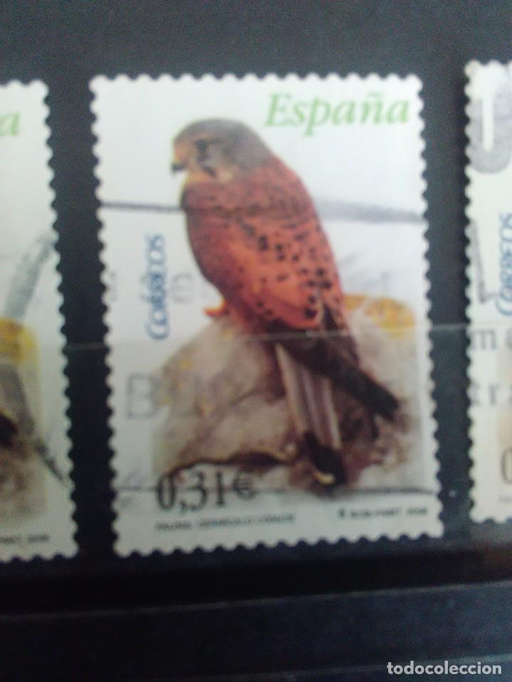 Selos: EDIFIL 4377 CERN&Iacute;CALO COM&Uacute;N , DE LA SERIE: fauna. A&Ntilde;O 2008