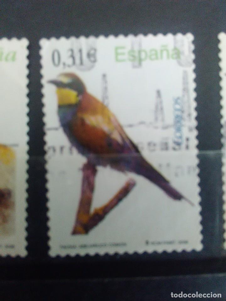 Selos: EDIFIL 4378 ABEJARUCO COM&Uacute;N, DE LA SERIE: fauna. A&Ntilde;O 2008