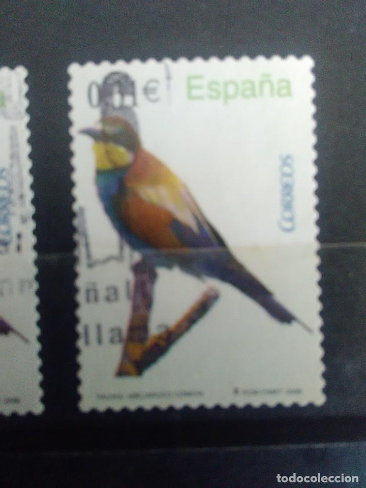 Selos: EDIFIL 4378 ABEJARUCO COM&Uacute;N, DE LA SERIE: fauna. A&Ntilde;O 2008