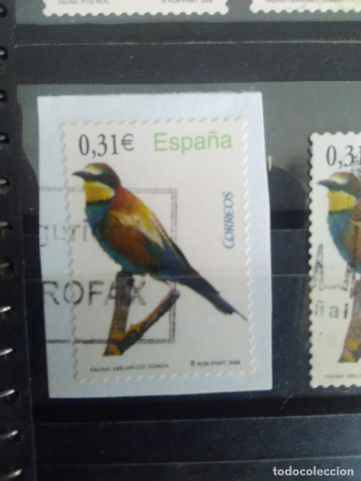 Selos: EDIFIL 4378 ABEJARUCO COM&Uacute;N, DE LA SERIE: fauna. A&Ntilde;O 2008
