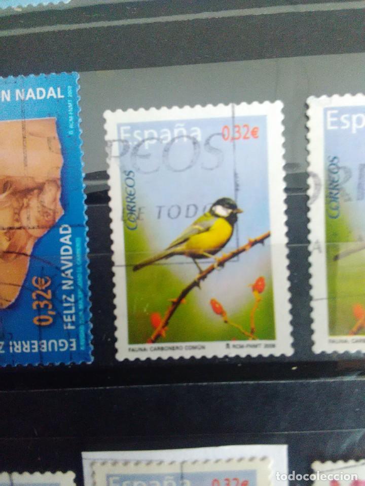 Briefmarken: EDIFIL 4462 CARBONERO COM&Uacute;N DE LA SERIE: FAUNA. A&Ntilde;O 2009