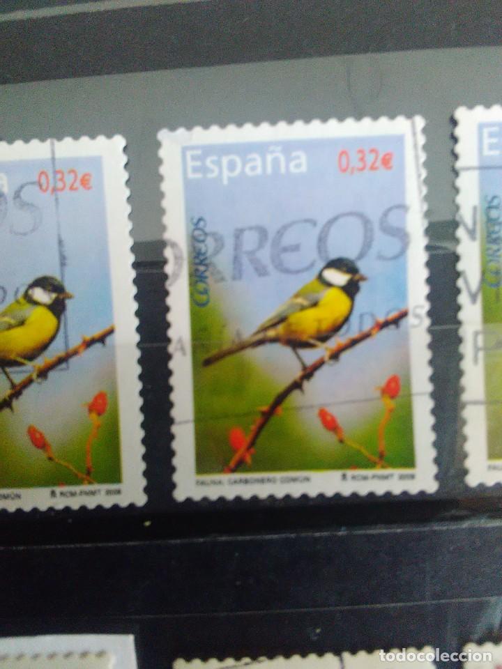 Briefmarken: EDIFIL 4462 CARBONERO COM&Uacute;N DE LA SERIE: FAUNA. A&Ntilde;O 2009