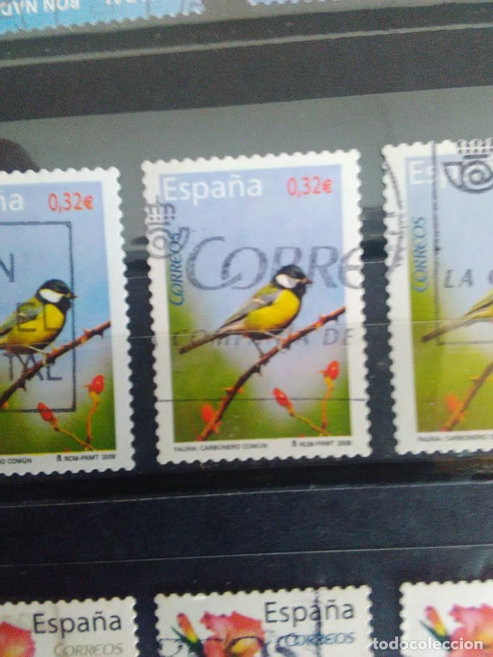 Briefmarken: EDIFIL 4462 CARBONERO COM&Uacute;N DE LA SERIE: FAUNA. A&Ntilde;O 2009