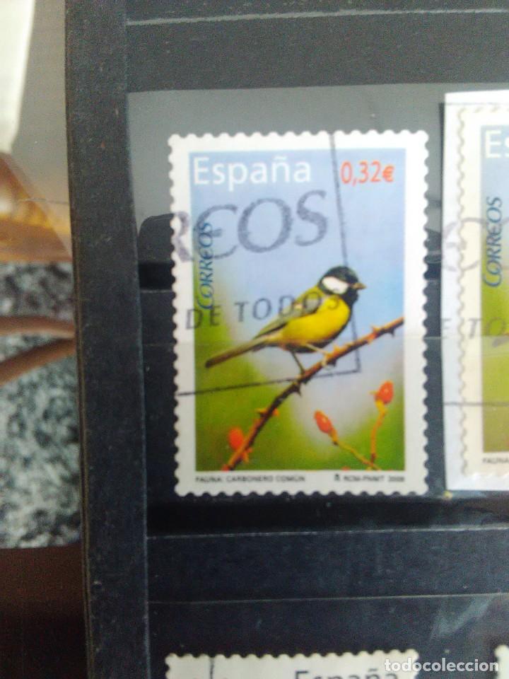Briefmarken: EDIFIL 4462 CARBONERO COM&Uacute;N DE LA SERIE: FAUNA. A&Ntilde;O 2009