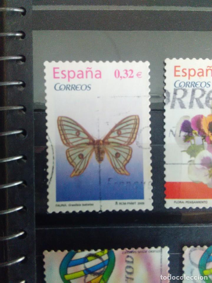 Briefmarken: EDIFIL 4464 MARIPOSA GRAELISIA ISABELAE DE LA SERIE: FAUNA. A&Ntilde;O 2009