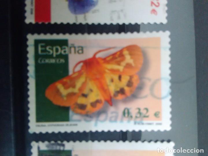 Briefmarken: EDIFIL 4466 MARIPOSA HYPHORAIA DEJEANI  DE LA SERIE: FAUNA. A&Ntilde;O 2009
