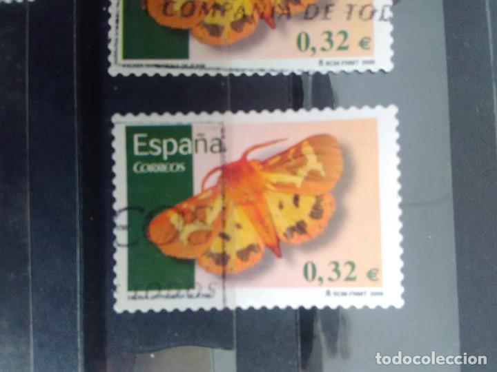 Briefmarken: EDIFIL 4466 MARIPOSA HYPHORAIA DEJEANI DE LA SERIE: FAUNA. A&Ntilde;O 2009