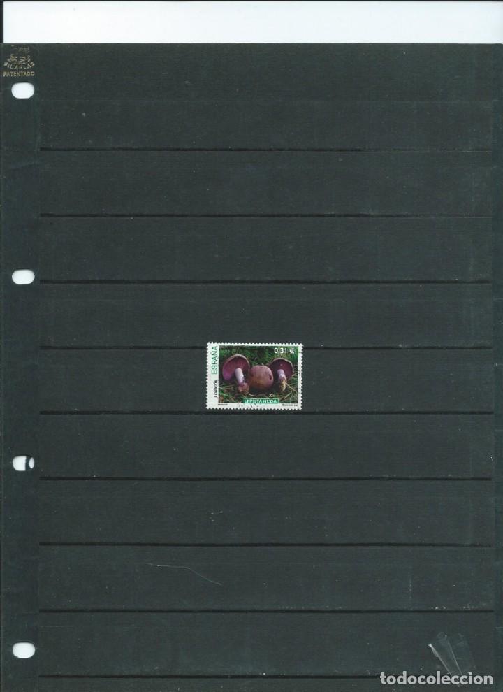 Stamps: SELLO EN USADO DEL A&Ntilde;O 2008 DE LA SERIE DE MICOLOGIA
