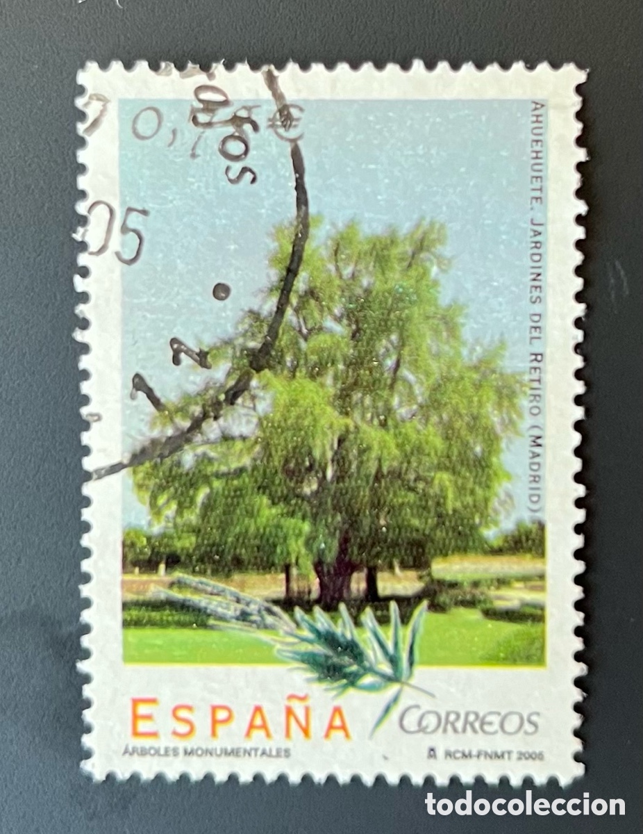 Briefmarken: EDIFIL 4149. &Aacute;RBOLES MONUMENTALES - AHUEHUETE. (2005) Arbol