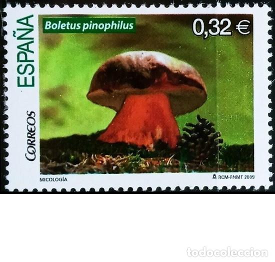 Sellos: Edifil 4517 sello/s nuevo/s Espa&ntilde;a a&ntilde;o 2009 MNH serie Micologia