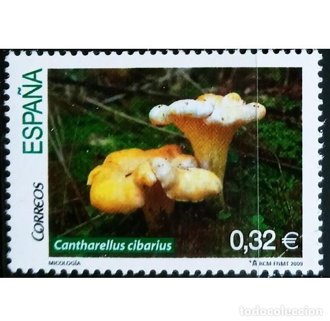 Selos: Edifil 4518 sello/s nuevo/s Espa&ntilde;a a&ntilde;o 2009 MNH serie Micologia