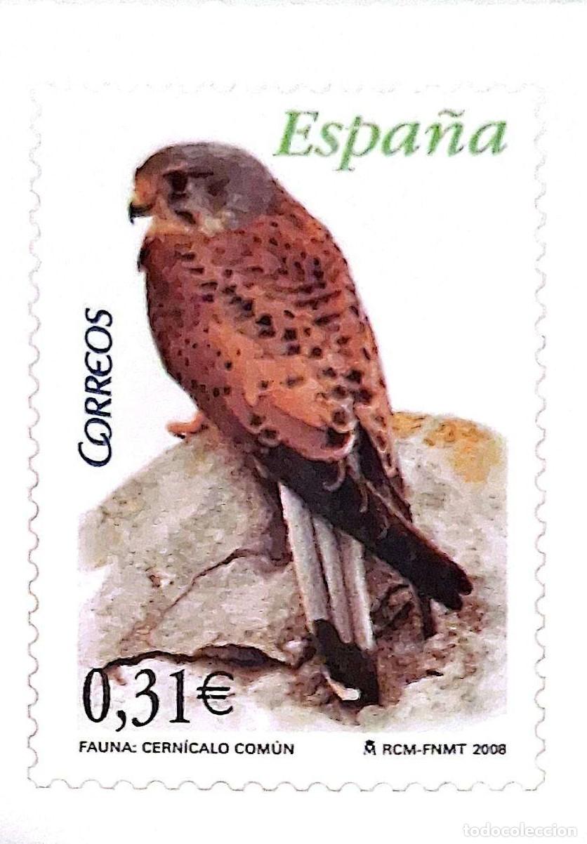 Sellos: Espa&ntilde;a. 4377 Fauna: Cern&iacute;calo com&uacute;n. Adhesivo. 2008. Sellos nuevos y numeraci&oacute;n Edifil