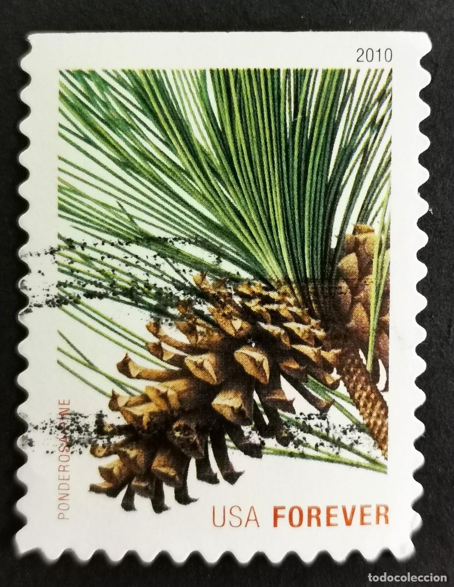 Sellos: Sello Estados Unidos U.S.A.2010,Pino ponderosa (Pinus ponderosa), Michel US 4645BD