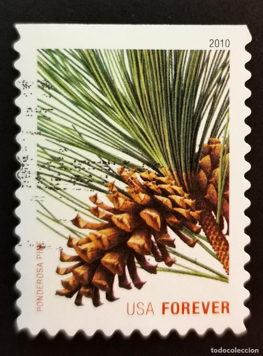 Sellos: Sello Estados Unidos U.S.A.2010,Pino ponderosa (Pinus ponderosa), Michel US 4645BD