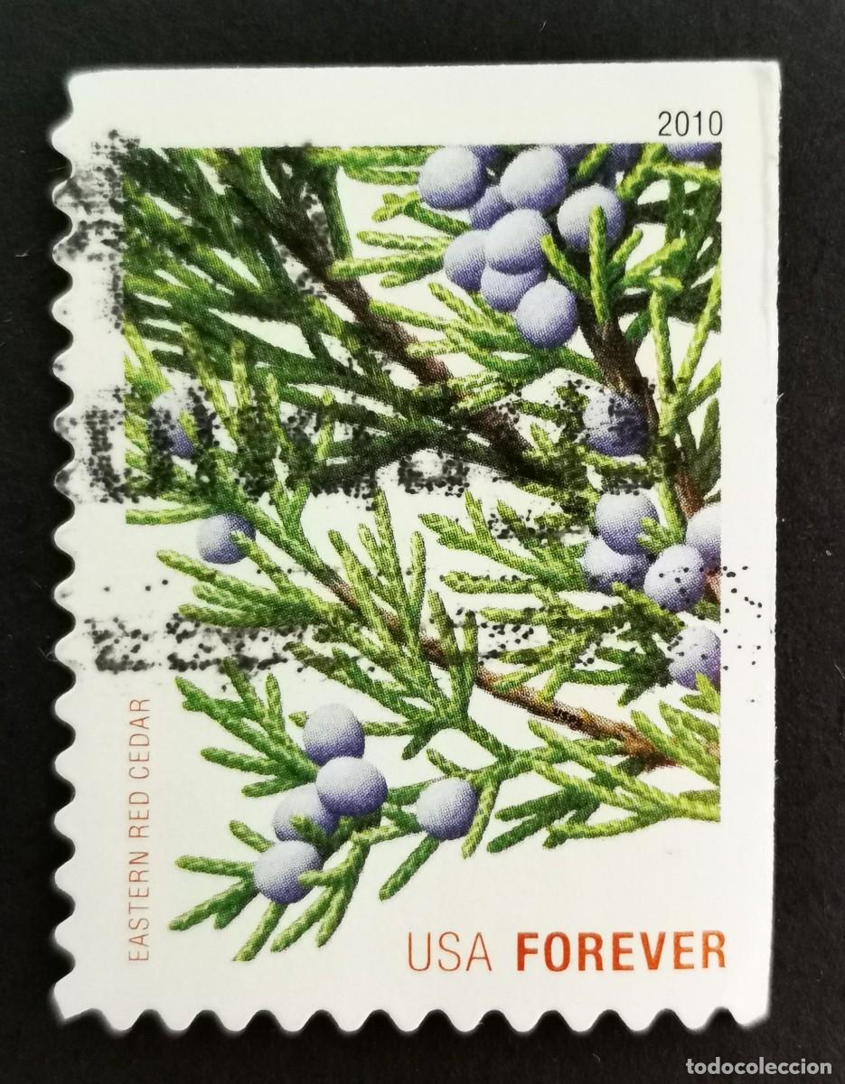 Sellos: Sello Estados Unidos U.S.A.2010,Cedro rojo oriental, Michel US 4646BE