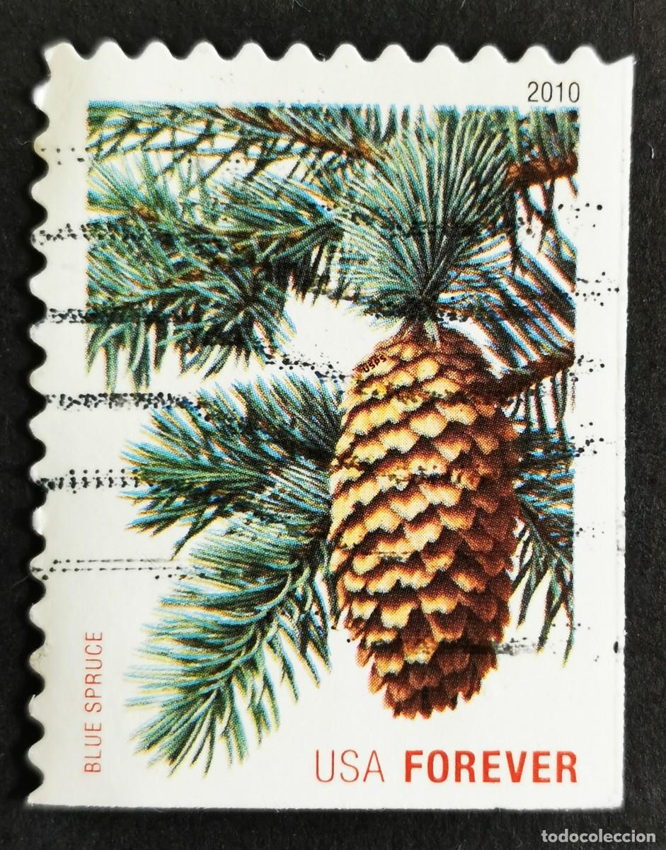 Sellos: Sello Estados Unidos U.S.A.2010,Abeto azul, Michel US 4648BE