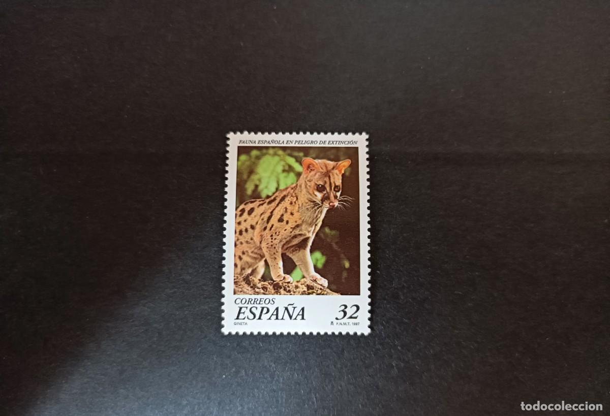 Sellos: Sello nuevo. Fauna Espa&ntilde;ola Peligro Extinci&oacute;n. Gineta. 30 de Enero 1997. Edifil 3469.