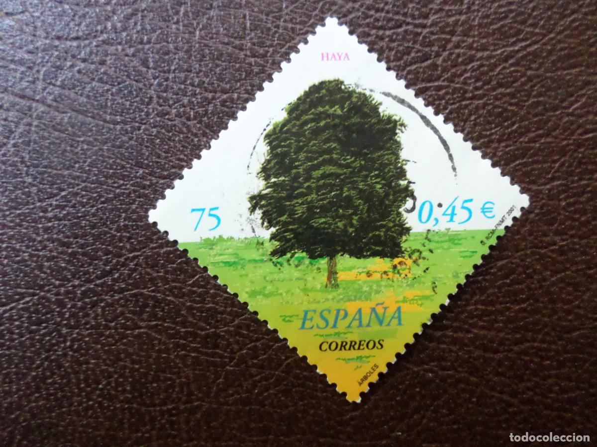 Sellos: .2001, arboles, haya, edifil 3804