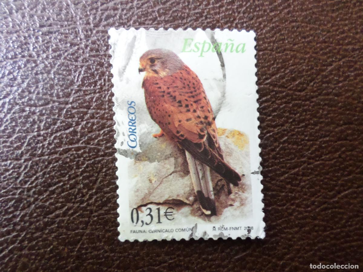 Sellos: .2008, fauna y flora, cernicalo, edifil 4377