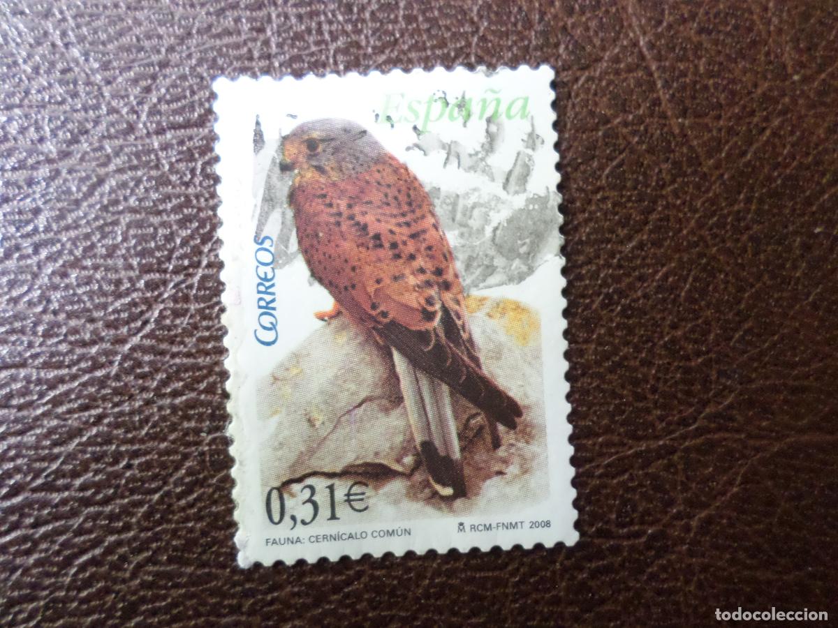 Sellos: .2008, fauna y flora, cernicalo, edifil 4377