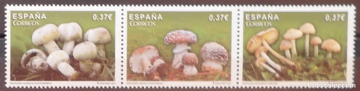 Sellos: 2013-ESPA&Ntilde;A-SELLOS NUEVOS-FACIAL-VER FOTO-(SERIE COMPLETA)N&ordm;4822/4-MICOLOGIA