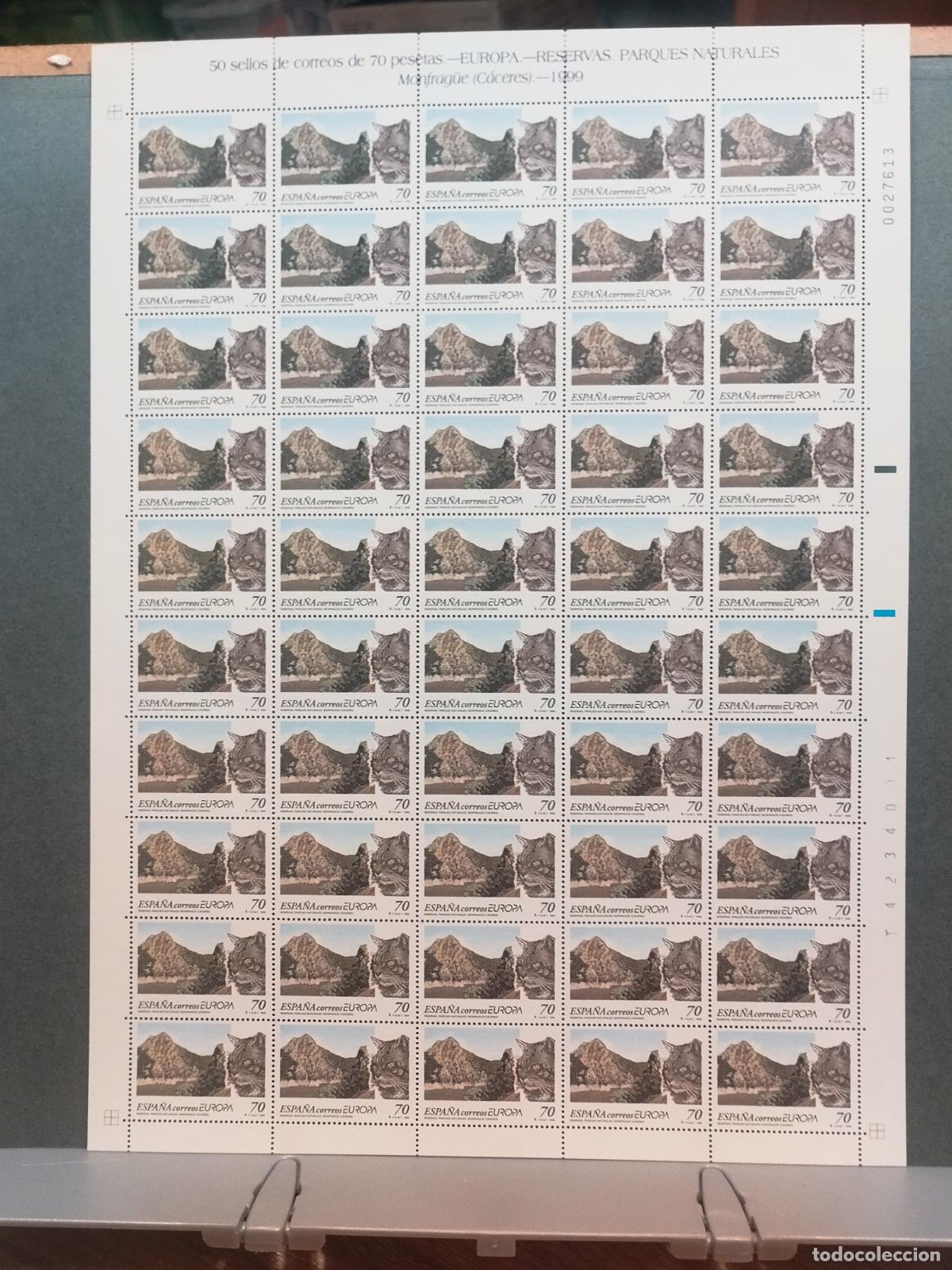 Sellos: ESPA&Ntilde;A. EDIFIL 3628. TEMA EUROPA. GATO MONTES. PARQUE DE MONTFRAG&Uuml;E. 50 SERIES NUEVAS EN PLIEGO