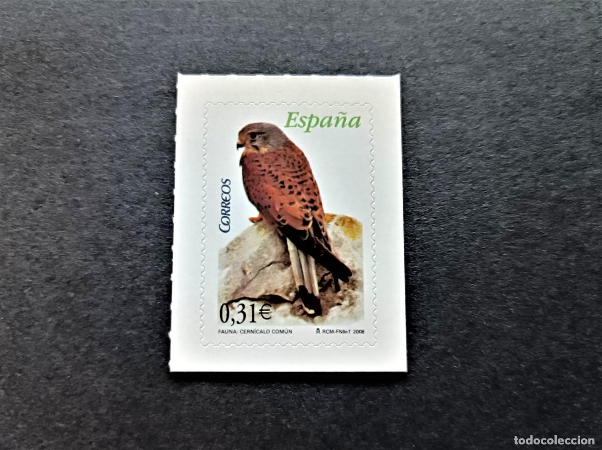 Sellos: Sello nuevo. Sello Autoadhesivo. Flora y Fauna. Cern&iacute;calo Com&uacute;n. 2 Abril de 2008. Edifil 4377.