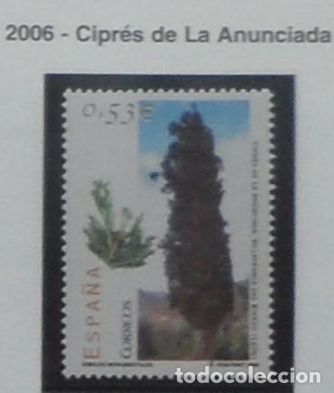 Sellos: 2006-ESPA&Ntilde;A-SELLOS NUEVOS-BAJO FACIAL 20%-VER FOTO-N&ordm;4221-ARBOLES MONUMENTALES