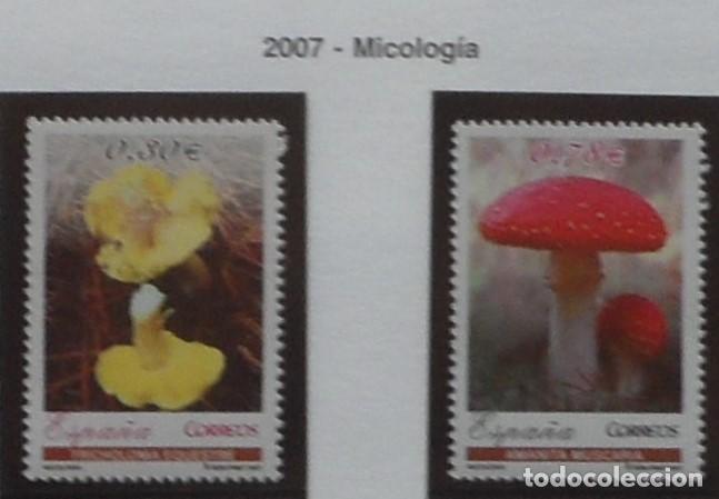 Sellos: 2007-ESPA&Ntilde;A-SELLOS NUEVOS-BAJO FACIAL 20%-VER FOTO-N&ordm;4337/8-MICOLOGIA