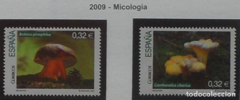 Sellos: 2009-ESPA&Ntilde;A-SELLOS NUEVOS-BAJO FACIAL 20%-VER FOTO-N&ordm;4517/8-MICOLOGIA