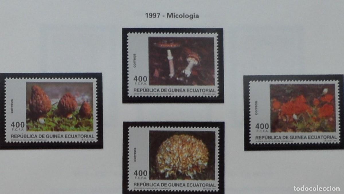 Sellos: 1997-ESPA&Ntilde;A-EXCOLONIA-GUINEA-SELLOS NUEVOS-VER FOTO-N&ordm;233/6-MICOLOGIA