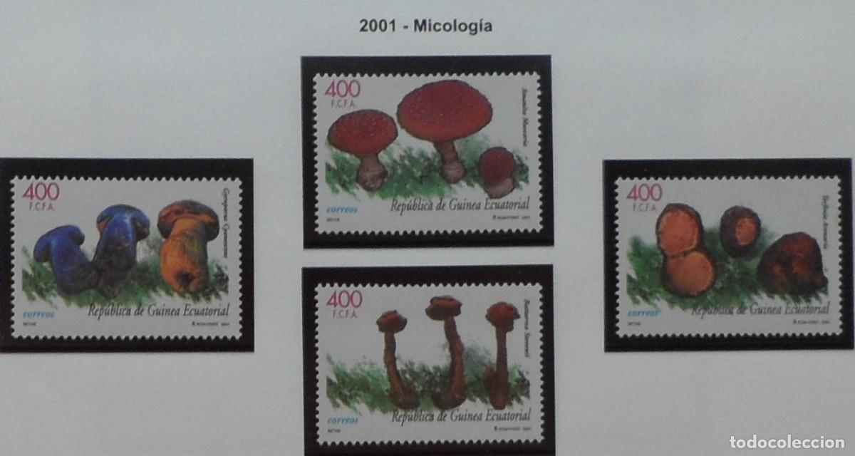 Sellos: 2001-ESPA&Ntilde;A-EXCOLONIA-GUINEA-SELLOS NUEVOS-VER FOTO-N&ordm;276/9-MICOLOGIA