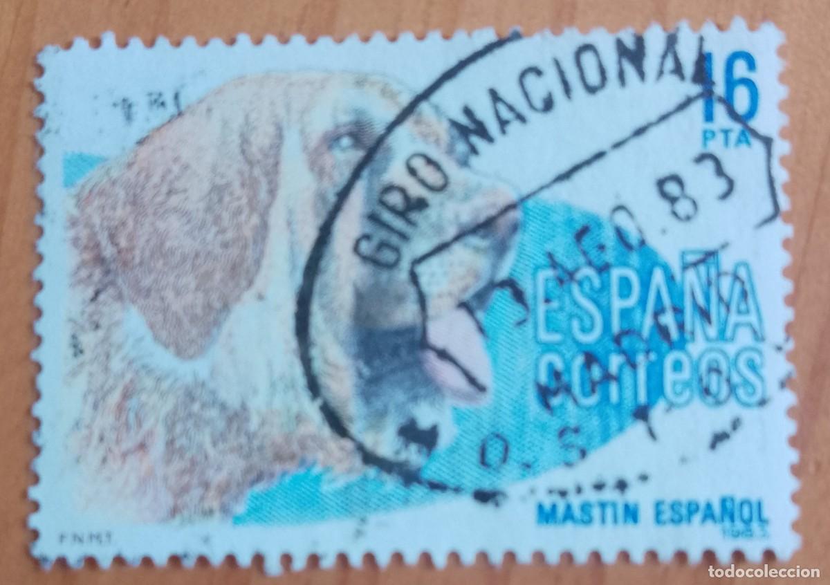 Sellos: ESPA&Ntilde;A,A&Ntilde;O 1983, EDIFIL 2712 - MASTIN, PERRO - MATASELLO IDENTIFICATIVO: 13 AGO 83 M&Oacute;STOLES MADRID